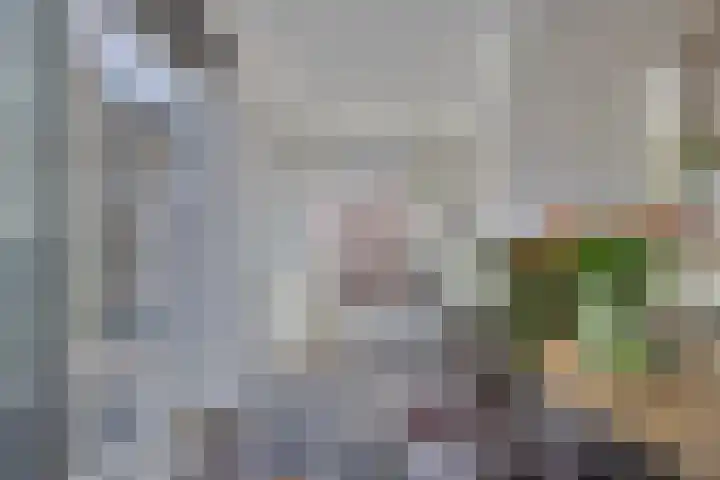 De Gijster 44 Made thumbnail 13
