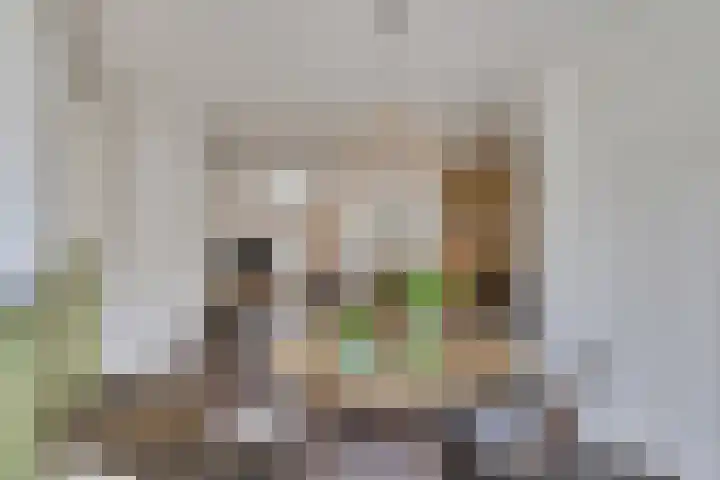 De Gijster 44 Made thumbnail 15