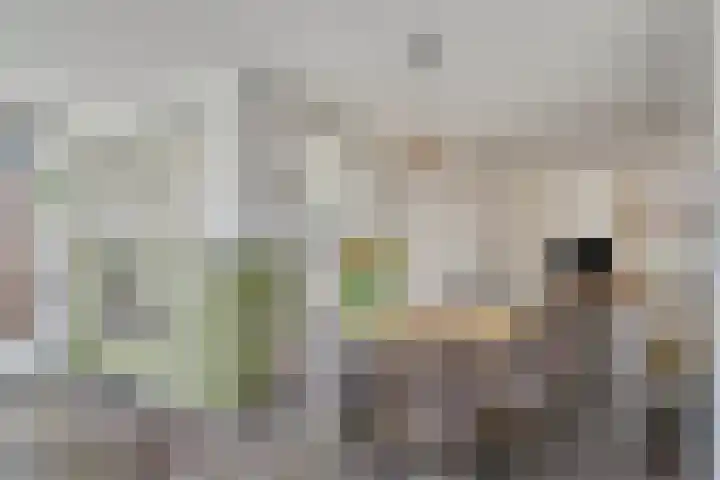 De Gijster 44 Made thumbnail 16