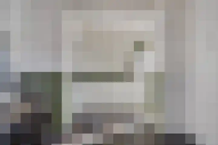 De Gijster 44 Made thumbnail 17