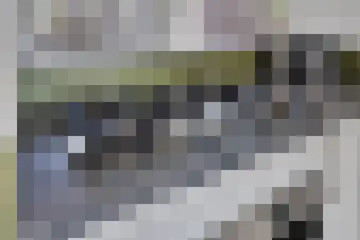 De Gijster 44 Made thumbnail 19