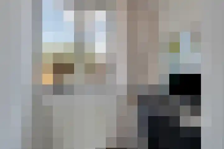 De Gijster 44 Made thumbnail 25