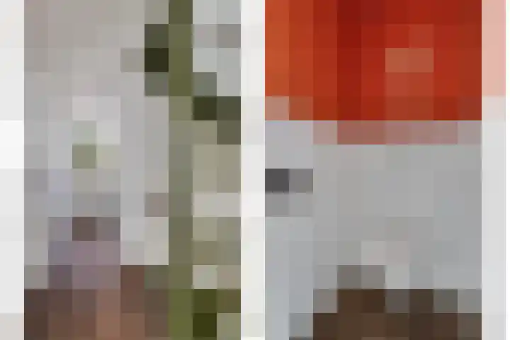 De Gijster 44 Made thumbnail 32
