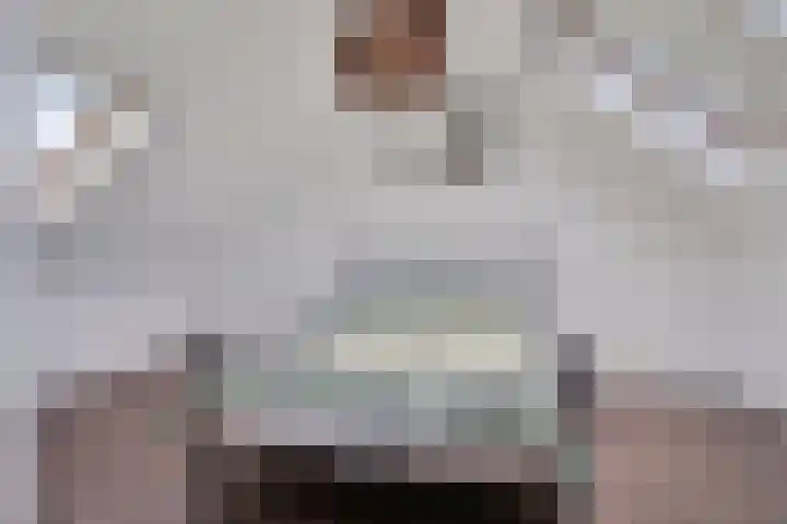 De Gijster 44 Made thumbnail 33