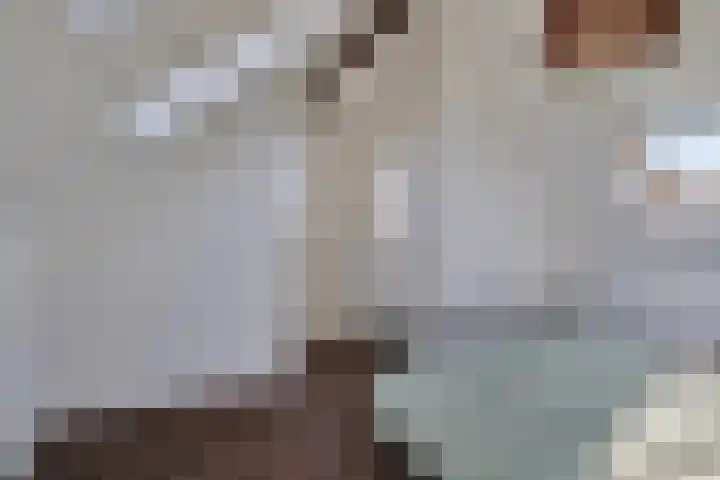 De Gijster 44 Made thumbnail 35