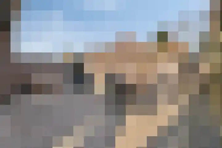 De Gijster 44 Made thumbnail 37