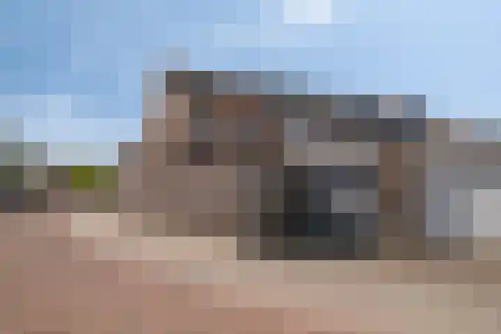 De Gijster 44 Made thumbnail 41