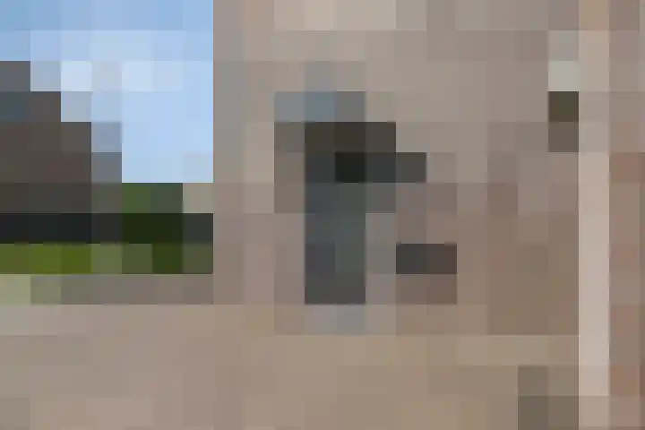 De Gijster 44 Made thumbnail 42
