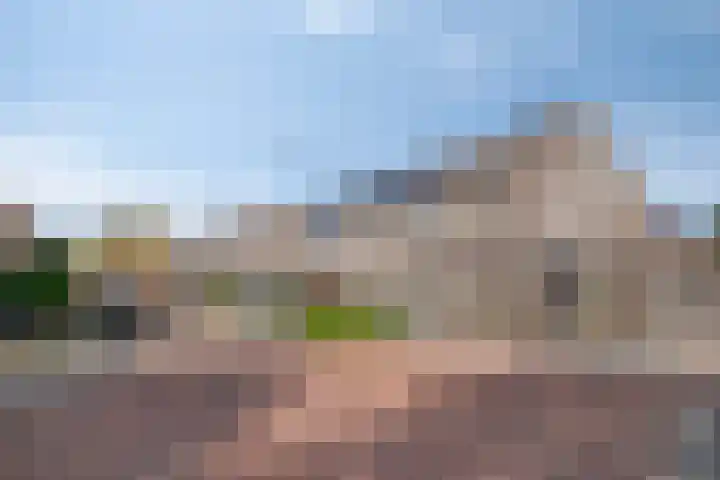 De Gijster 44 Made thumbnail 43