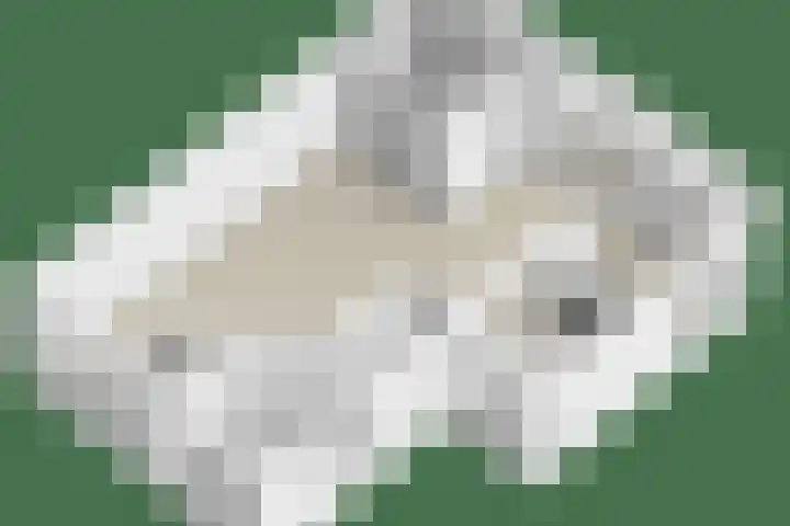De Gijster 44 Made thumbnail 50