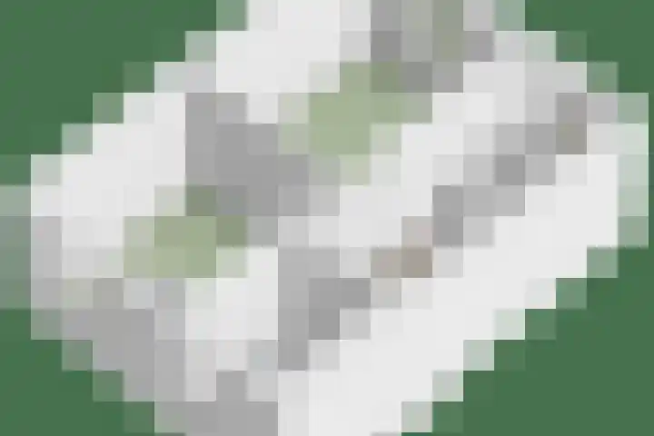 De Gijster 44 Made thumbnail 51