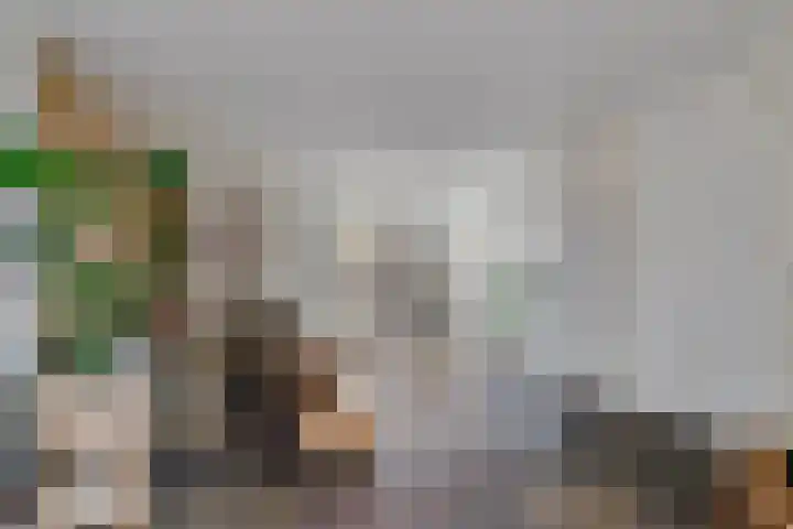 De Gijster 44 Made thumbnail 9