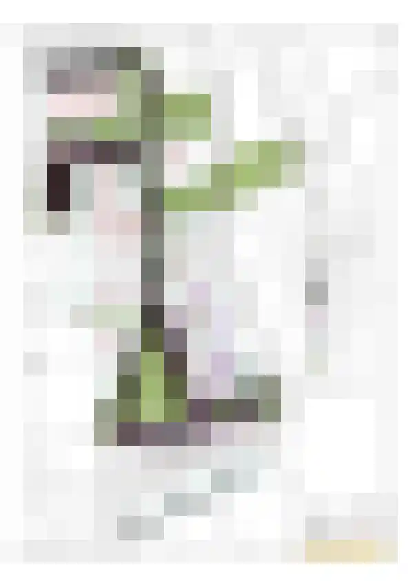 De Gloep 2 Exloo thumbnail 11