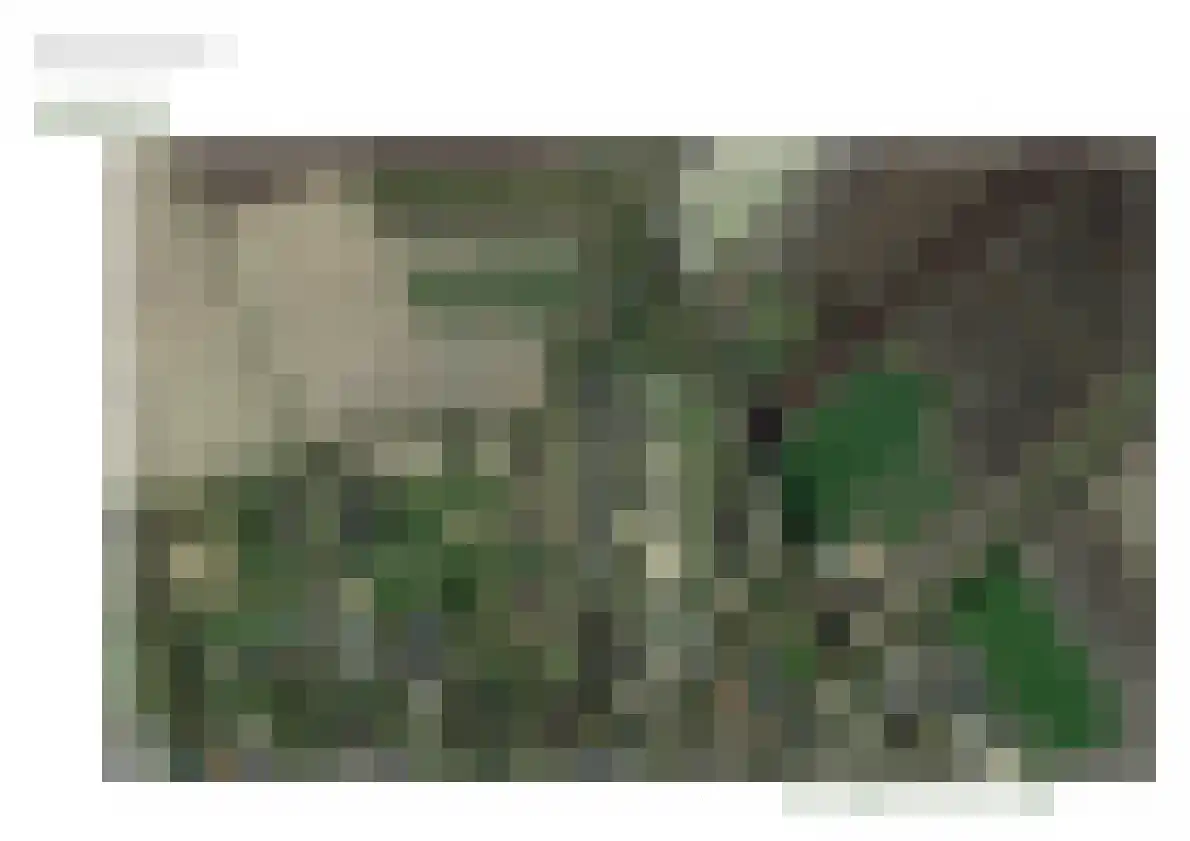 De Gloep 5 Exloo thumbnail 11