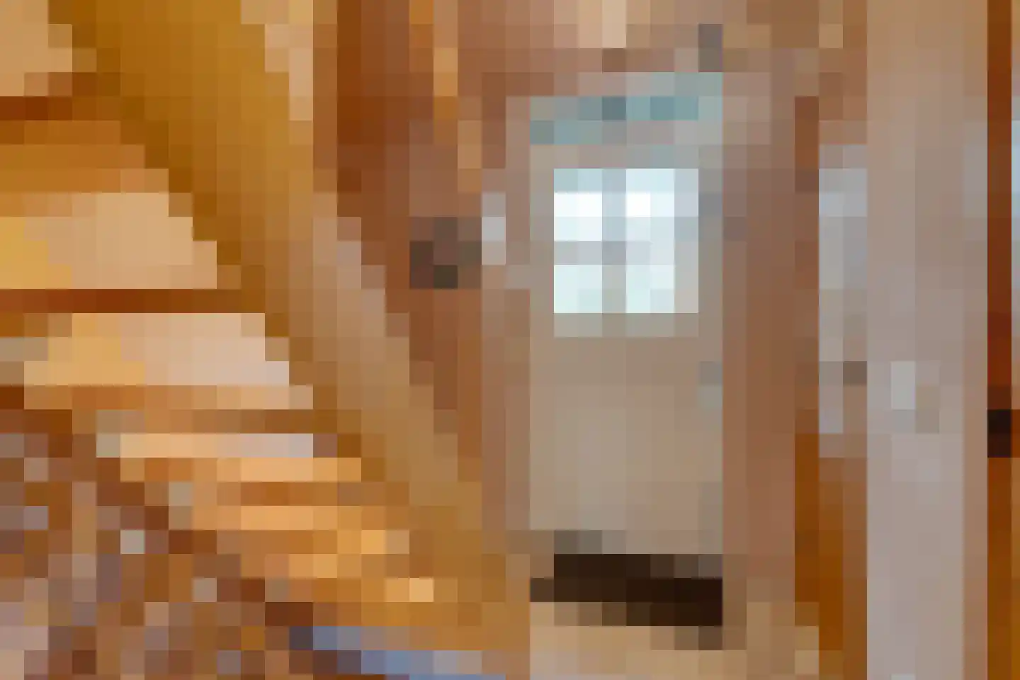 De Goedemeent 20 Purmerend thumbnail 16