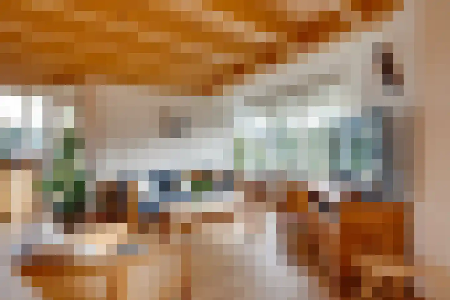 De Goedemeent 20 Purmerend thumbnail 19