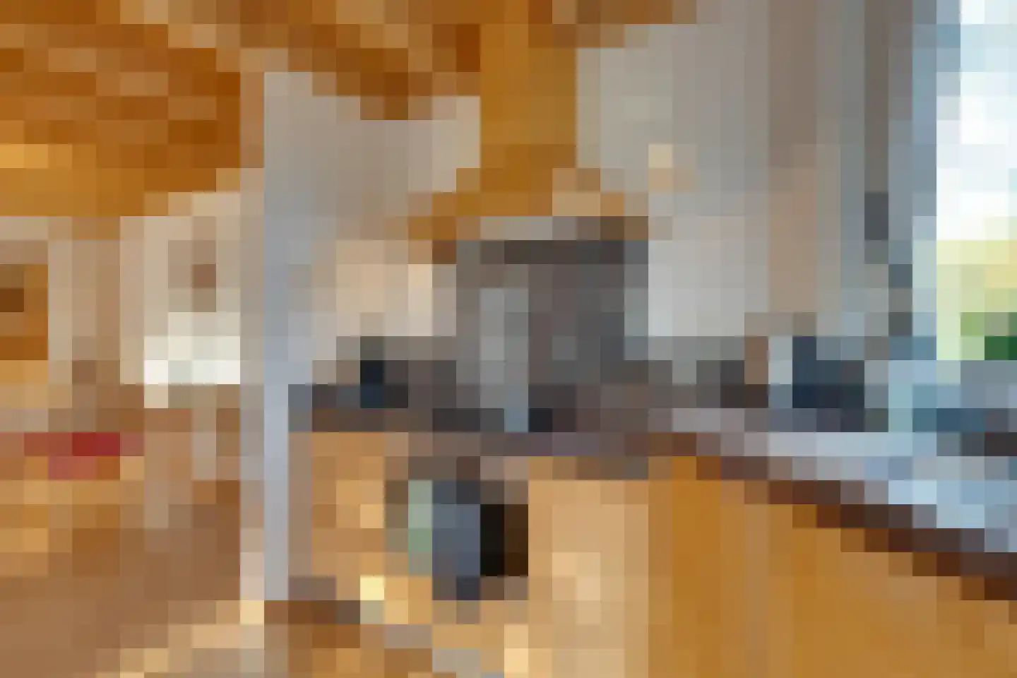 De Goedemeent 20 Purmerend thumbnail 26