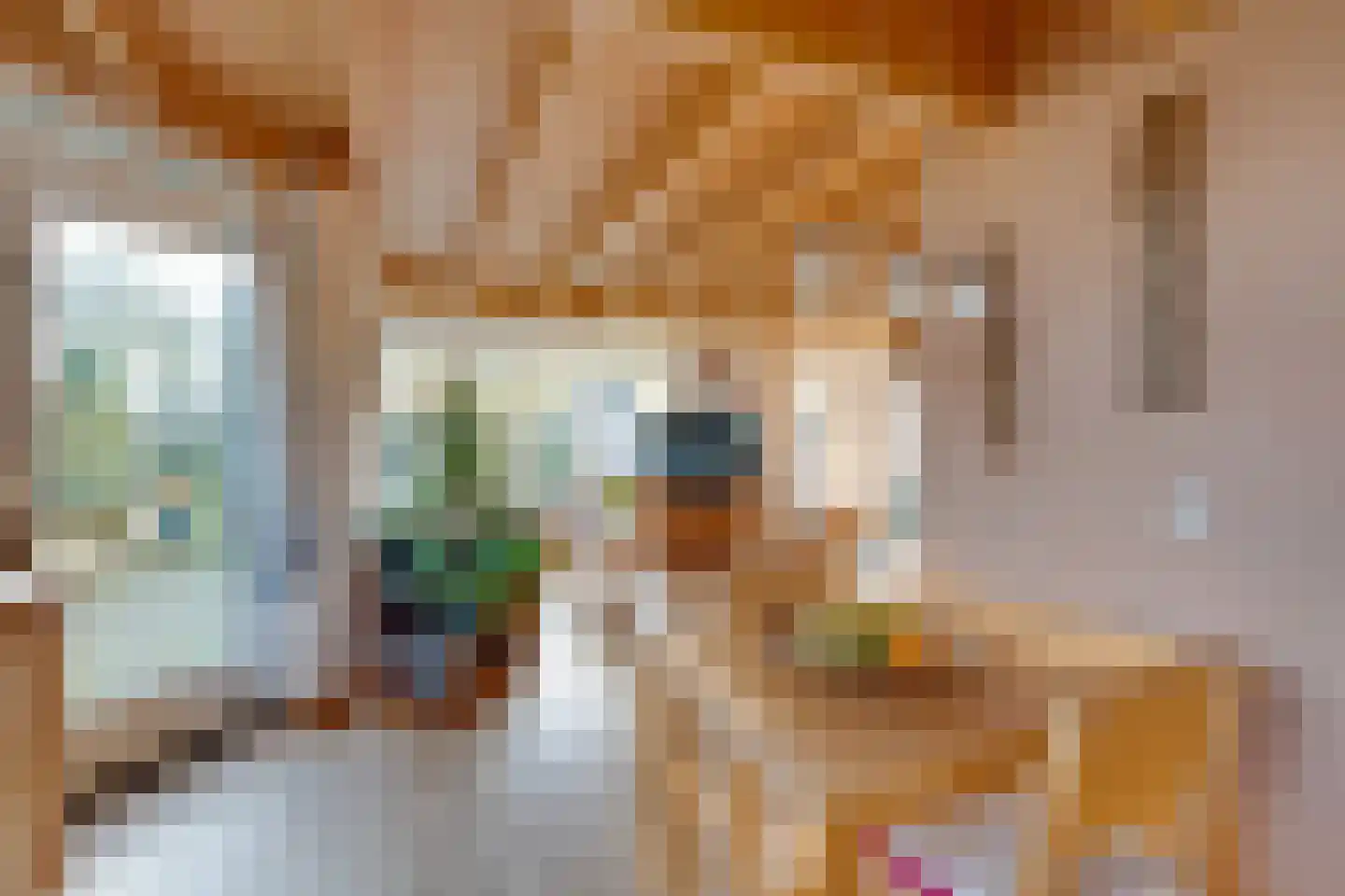 De Goedemeent 20 Purmerend thumbnail 28