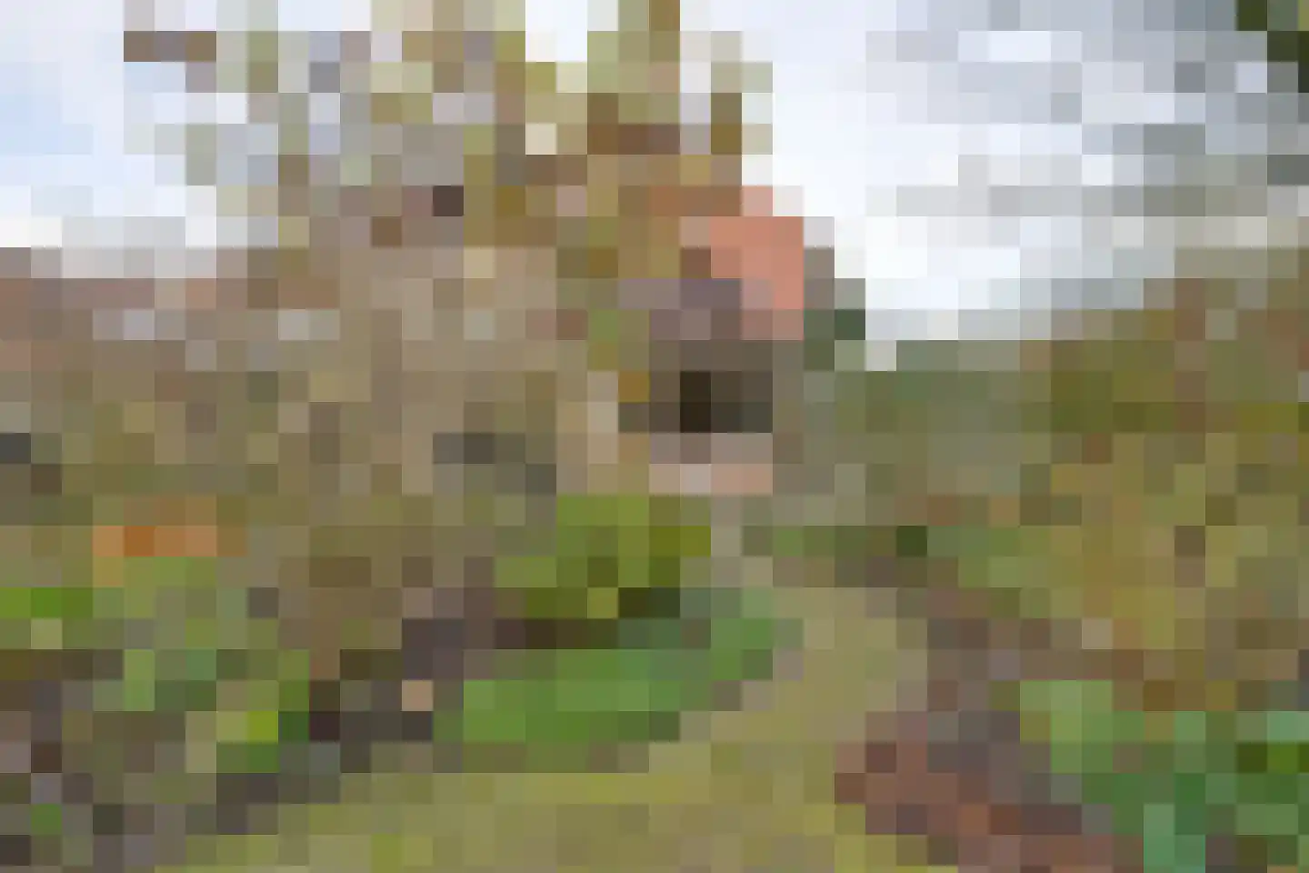 De Goedemeent 20 Purmerend thumbnail 47