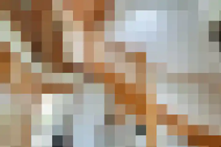 De Goedemeent 5 Purmerend thumbnail 13