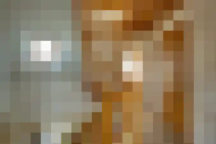 De Goedemeent 5 Purmerend thumbnail 25