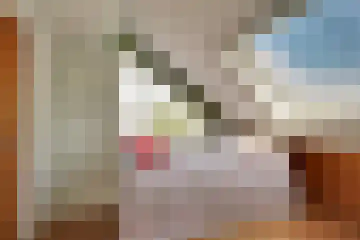 De Goedemeent 5 Purmerend thumbnail 30