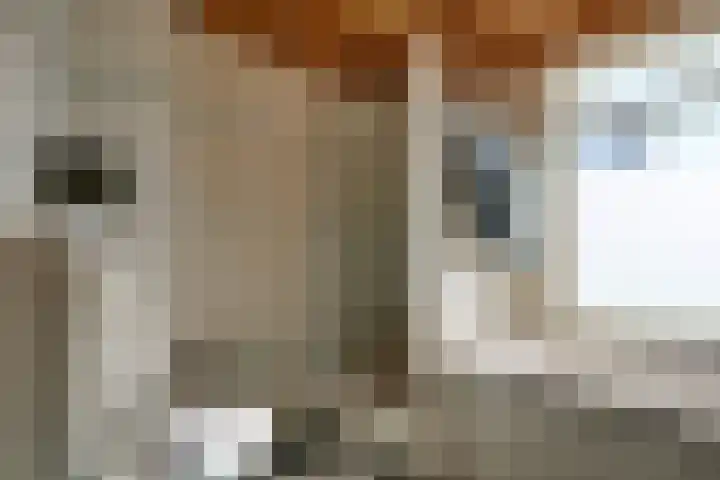 De Goedemeent 5 Purmerend thumbnail 32
