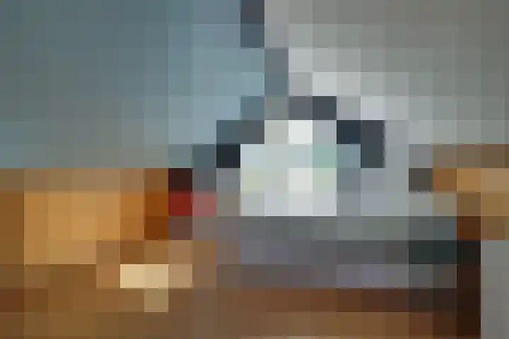 De Goedemeent 5 Purmerend thumbnail 36