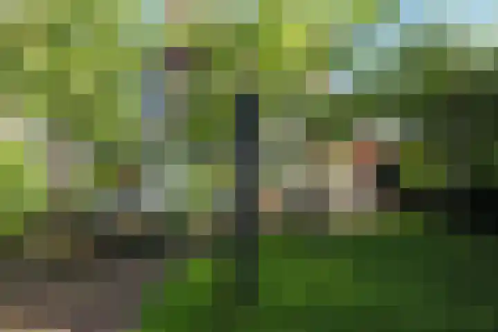 De Goedemeent 5 Purmerend thumbnail 38