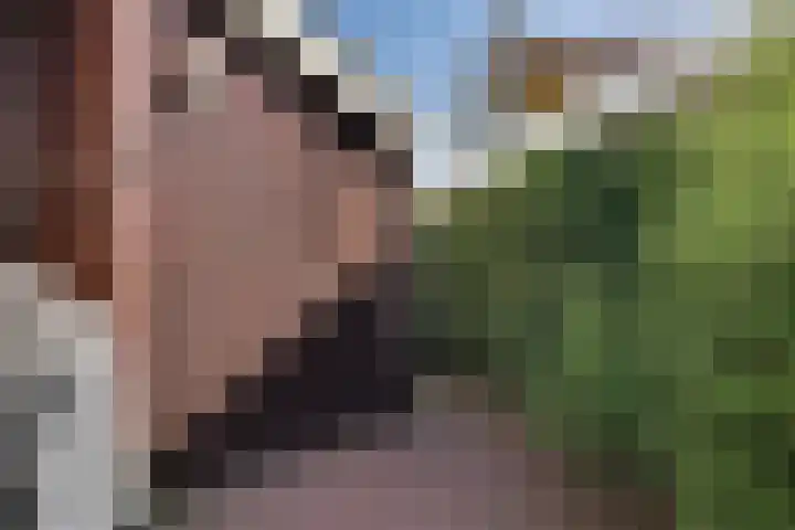 De Goedemeent 5 Purmerend thumbnail 39