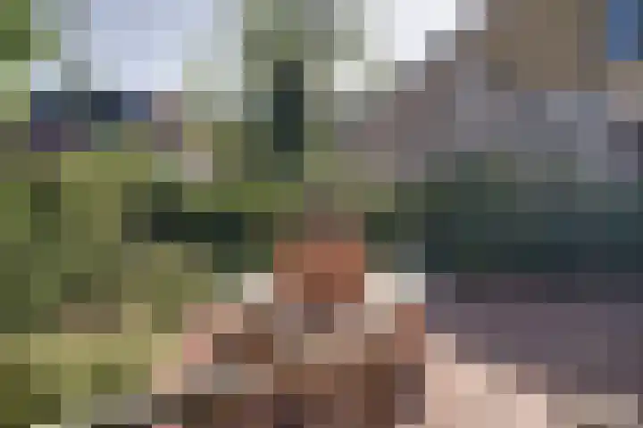 De Goedemeent 5 Purmerend thumbnail 43
