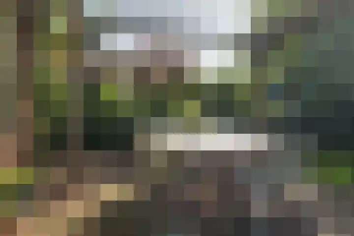 De Goedemeent 5 Purmerend thumbnail 6