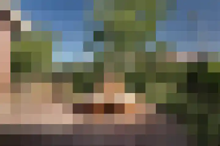 De Goedemeent 5 Purmerend thumbnail 7