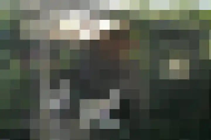 De Goedemeent 5 Purmerend thumbnail 8