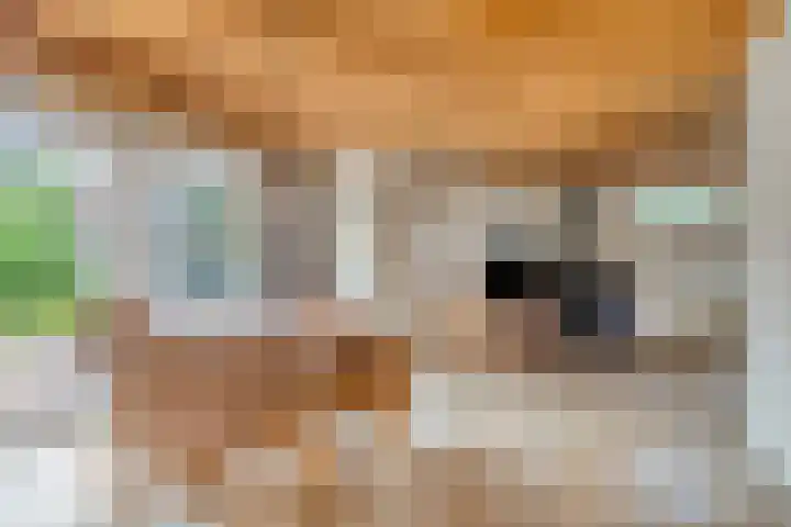 De Goedemeent 6 Purmerend thumbnail 15