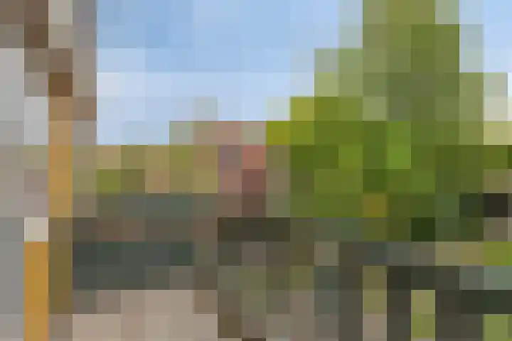 De Goedemeent 6 Purmerend thumbnail 31