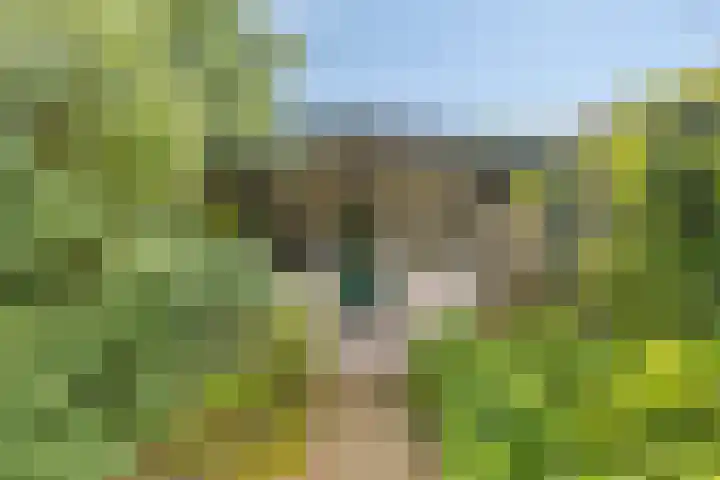 De Goedemeent 6 Purmerend thumbnail 37