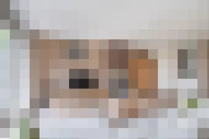 De Golle 1 Mantgum thumbnail 14