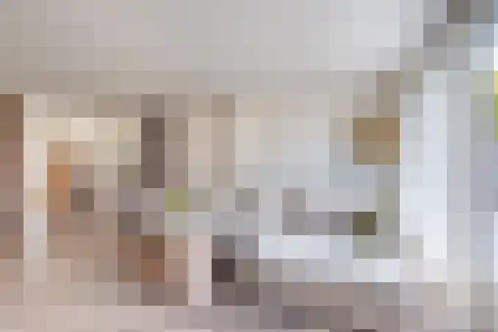 De Golle 1 Mantgum thumbnail 19
