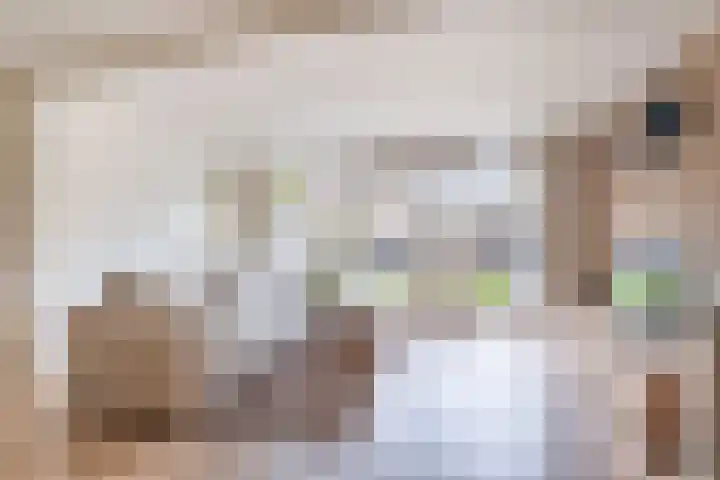 De Golle 1 Mantgum thumbnail 20
