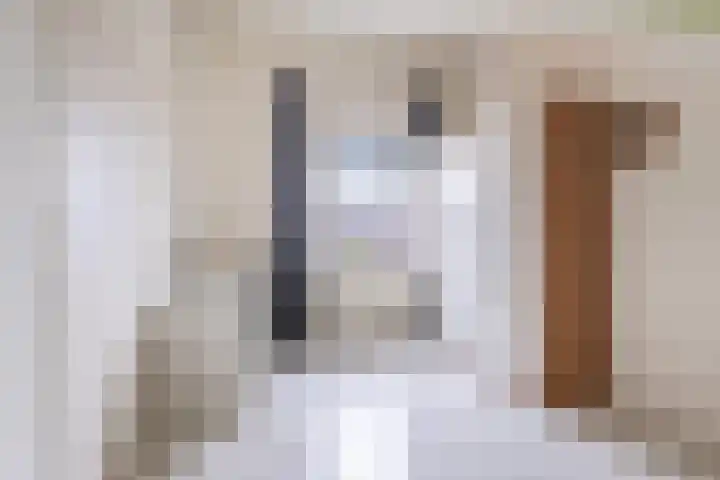 De Golle 1 Mantgum thumbnail 44
