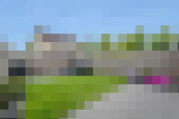 De Golle 1 Mantgum thumbnail 5