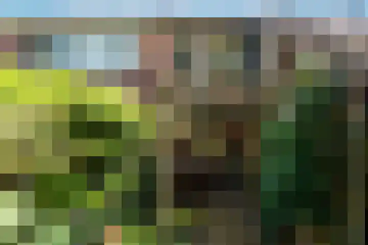de Gondel 2 Baarn thumbnail 11
