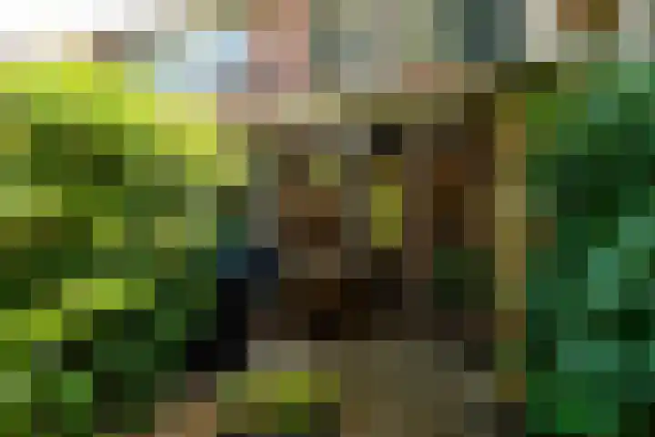 de Gondel 2 Baarn thumbnail 12