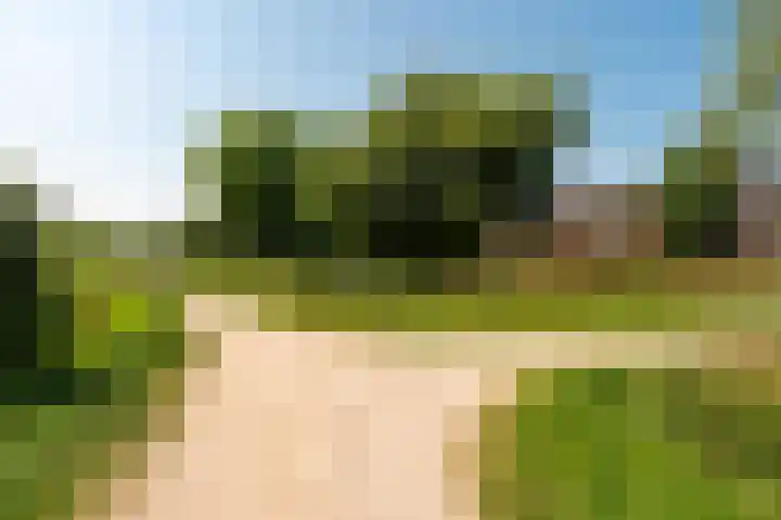de Gondel 2 Baarn thumbnail 24