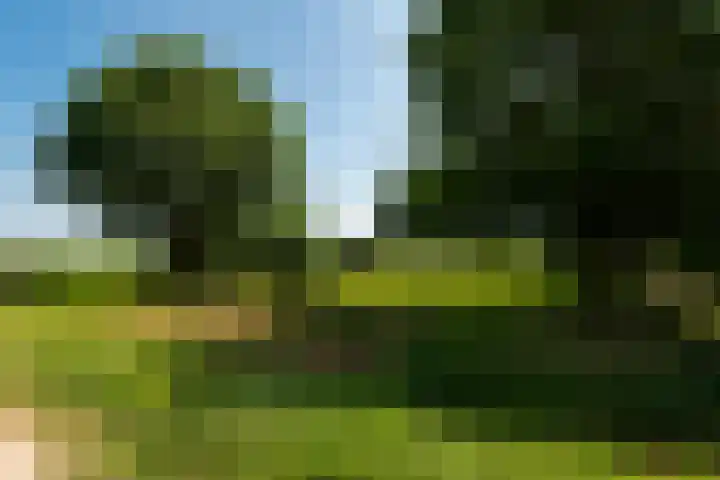 de Gondel 2 Baarn thumbnail 25