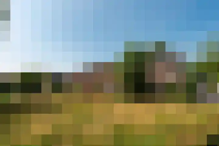 de Gondel 2 Baarn thumbnail 4