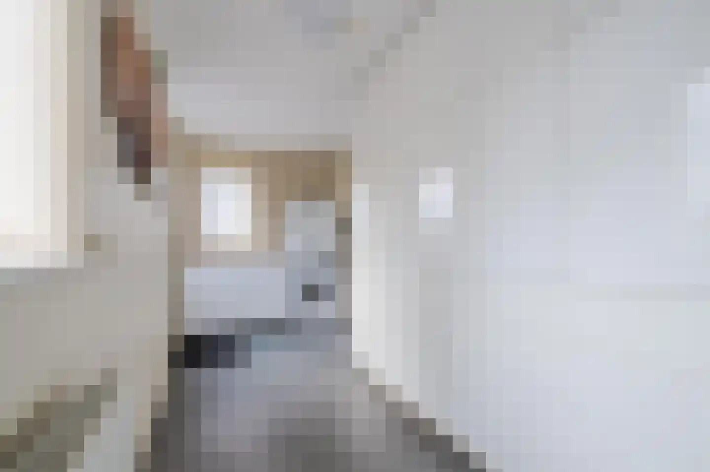 De Gonzer 7 Wervershoof thumbnail 20