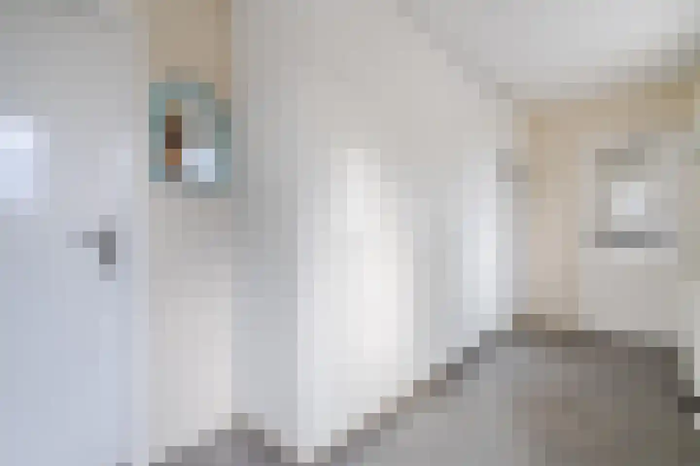 De Gonzer 7 Wervershoof thumbnail 21