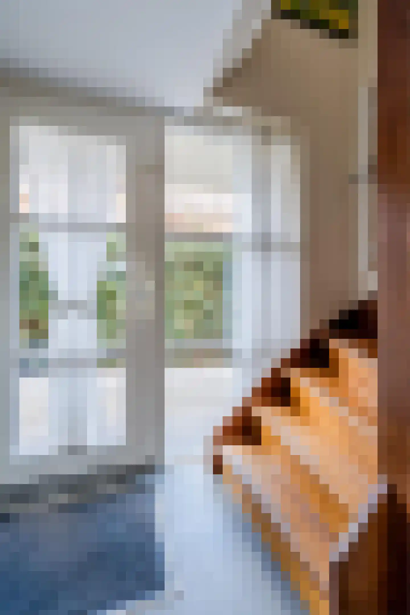 De Gonzer 7 Wervershoof thumbnail 25